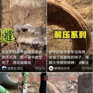 挖掘一个可以月入20W的抖音冷门项目