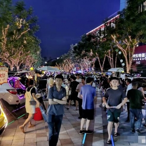 月入1w的小项目，简单操作日赚300很轻松