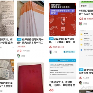 卖项目资料玩法详细教程日撸300+