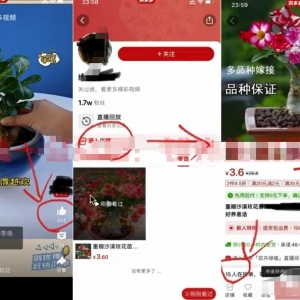 蓝海项目，详细拆解日出千单，日入3000的核心玩法