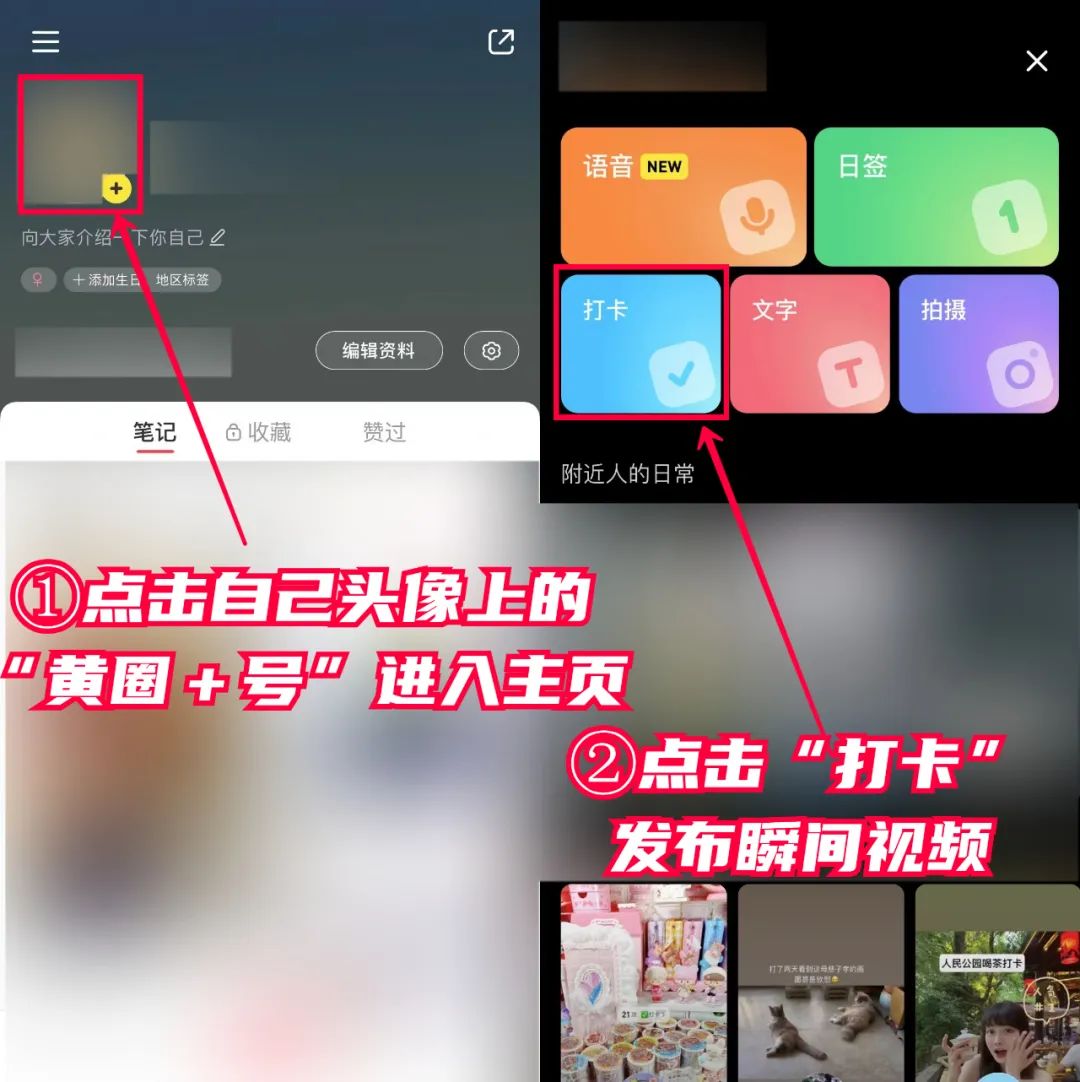 如何不花一分钱，在“小红书”狂招代理？