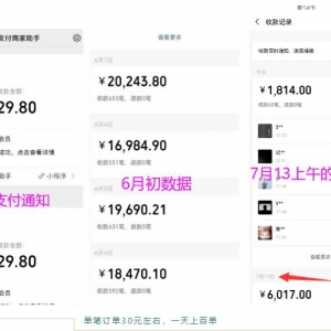 抖音相亲项目，一天14000元，在家就能操作