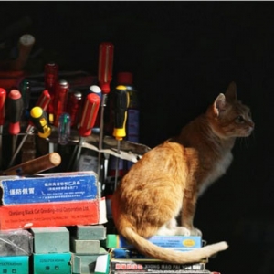 为什么街边的五金店几乎没什么生意，却不会倒闭