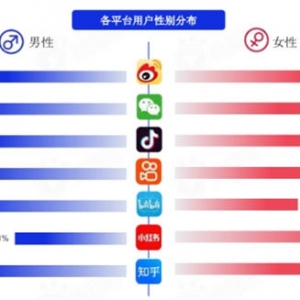 盘点各大新媒体平台用户及平台调性和引流变现的思路
