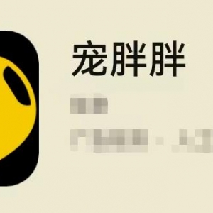 宠胖胖撸金项目，新平台放水，无脑搬砖，日入100+