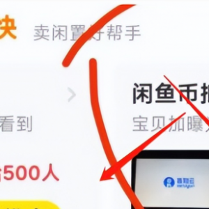 闲鱼币倒卖项目，人人可做，日入100+