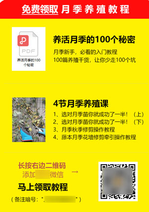 实用的公众号引流方法，只要发布文章就有流量