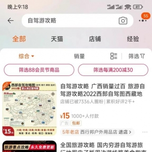 旅游攻略定制项目，做好了月入上万