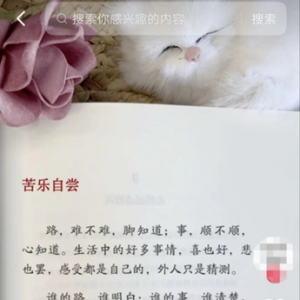 创业实战篇：不露脸卖课也很赚钱