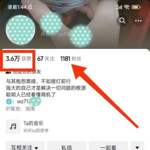 抖音搞钱野路子，有人一天赚500+