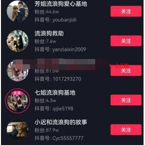 年入千万偏门路子—流浪狗救助