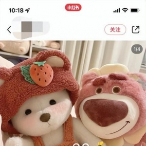 小红书无脑搬运成品图课程，适合新手入门操作的项目