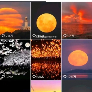 无脑搬砖，收益500+