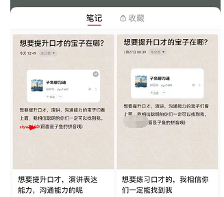 小红书打卡项目（新玩法）案例解析，月入30000,简单