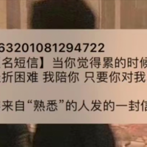 匿名短信项目，0.7元积少成多，偏冷门小众长远副业