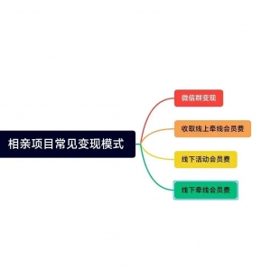 对同城相亲项目的一些看法和建议