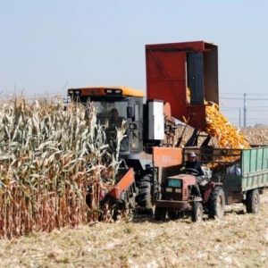 晒秋美如画，快来感受丰收的美好吧