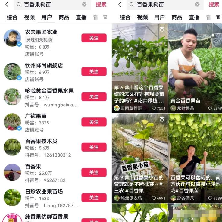 自动草稿