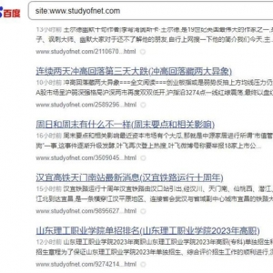 SEO养日收网站的一些经验分享（非时效性文章）