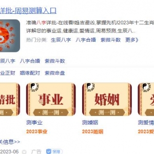 玄学项目结合AI的野路子玩法