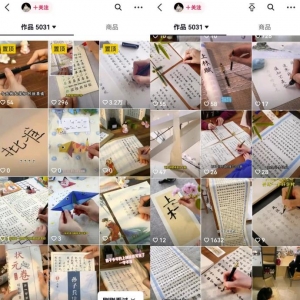 冷门练字帖副业思路，描字就能变现、无门槛不出镜