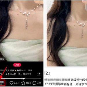新风口项目：小红书无货源，单品卖货月入7W+