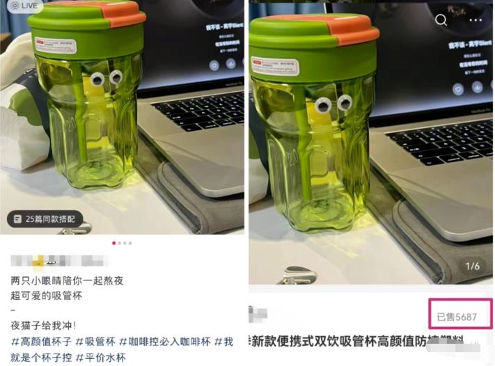 新风口项目：小红书无货源，单品卖货月入7W+