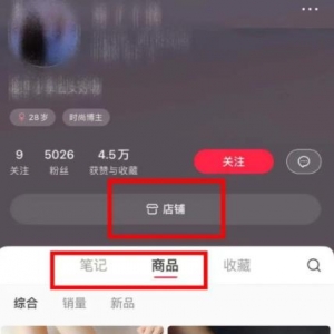 比别人多赚100倍的小红书路子