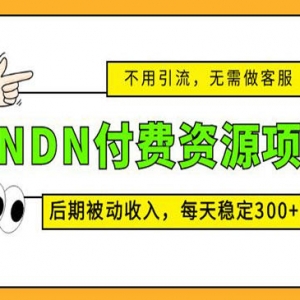 CNDN付费资源项目