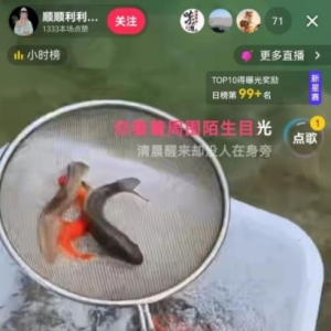 抖音云放生直播项目变现玩法