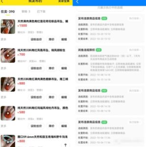 图片[1]-闲鱼315大批卖家账号违规或限流，平台重点整顿方向-阿兴说钱