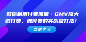 图片[1]-教你利用付费流量·GMV放大，微付费、纯付费的实战型打法-阿兴说钱
