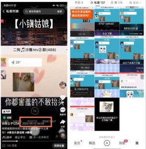 图片[1]-抖音唱歌群自动变现项目，利润一天大几百-阿兴说钱