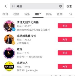 年入百万的戒烟IP盘子