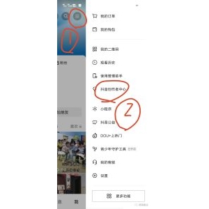 9.9一单，爆单项目，收钱到手软