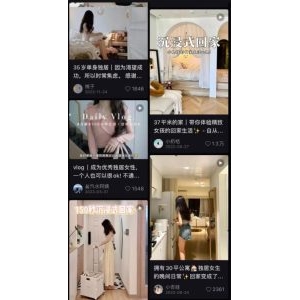 阳光下的收割，可放大的暴利项目