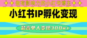 小红书IP孵化变现：做有影响力的小红书博主，最高单人变现300w+