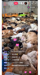 图片[1]-揭秘个月入10000的暴利赚钱野路子-阿兴说钱