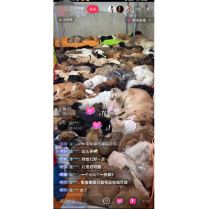 揭秘个月入10000的暴利赚钱野路子