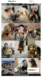 图片[3]-揭秘个月入10000的暴利赚钱野路子-阿兴说钱