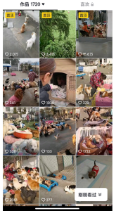 图片[4]-揭秘个月入10000的暴利赚钱野路子-阿兴说钱