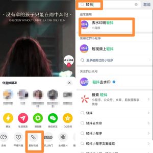 图片[2]-会打字就能做的项目思路：爆文转聊天记录玩法，一周的时间收益3000多 [复制链接]-阿兴说钱