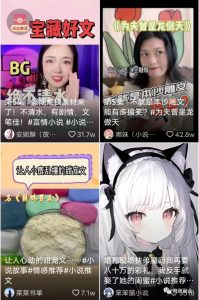 图片[2]-视频搬砖，一天200-阿兴说钱