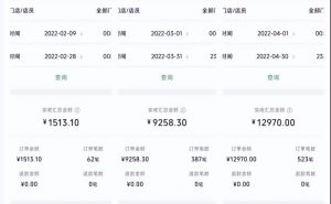 特别适合新手的小项目：资料号引流月变现1W+