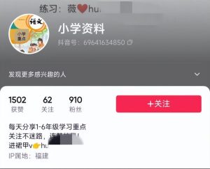 图片[5]-特别适合新手的小项目：资料号引流月变现1W+-阿兴说钱