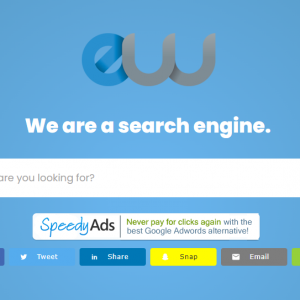 利用搜索引擎赚美元的项目，100次点击挣20美元