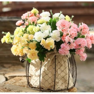 康乃馨花代表什么意义（康乃馨的花语）