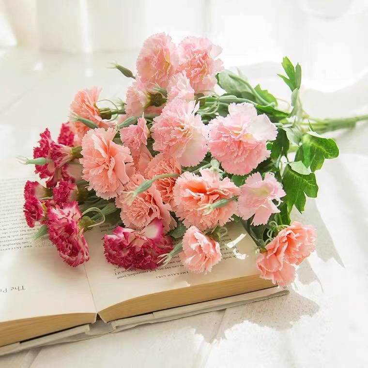 康乃馨花代表什么意义（康乃馨的花语）