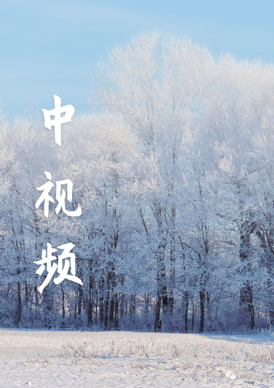 低门槛，坚持搞钱，一天1000+