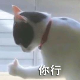 怎么做自媒体赚钱？教你建立自己的媒体矩阵，打造能持续赚钱的个人品牌